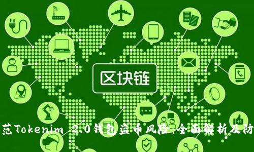 如何防范Tokenim 2.0钱包盗币风险：全面解析及防护策略