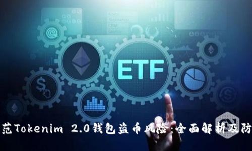 如何防范Tokenim 2.0钱包盗币风险：全面解析及防护策略
