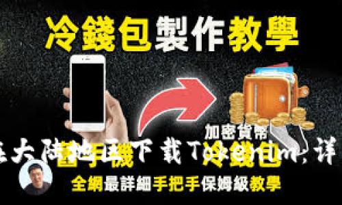 如何在大陆地区下载Tokenim：详细指南