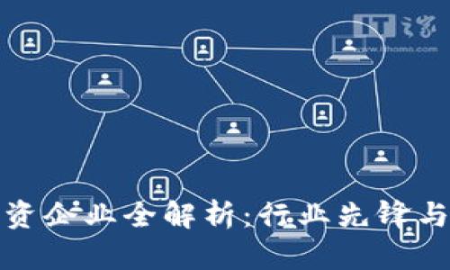 区块链融资企业全解析：行业先锋与投资机遇