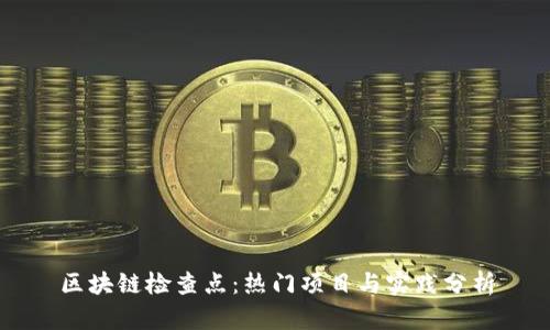 区块链检查点：热门项目与实践分析