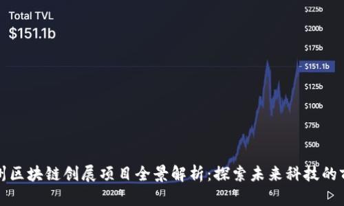 郑州区块链创展项目全景解析：探索未来科技的前沿