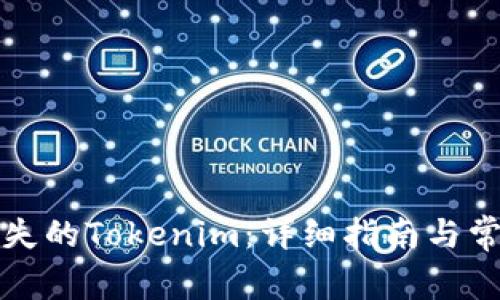 如何找回丢失的Tokenim：详细指南与常见问题解答