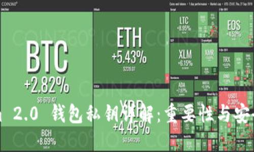 Tokenim 2.0 钱包私钥详解：重要性与安全性指南