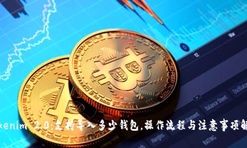 Tokenim 2.0：支持导入多少钱包，操作流程与注意事项解析