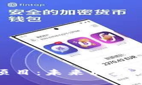 探索分片区块链项目：未来区块链的扩展解决方案