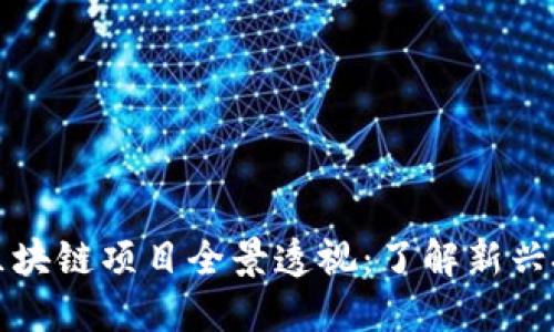 近期上线的区块链项目全景透视：了解新兴技术及其应用