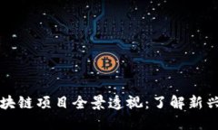 近期上线的区块链项目全景透视：了解新兴技术
