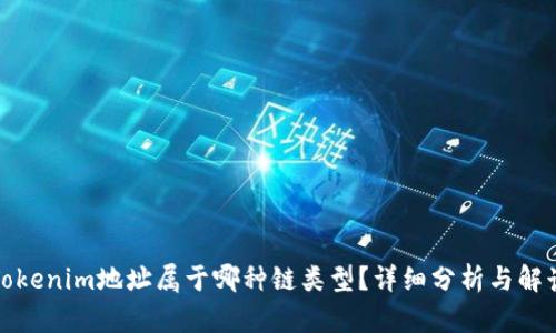 Tokenim地址属于哪种链类型？详细分析与解读