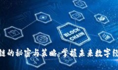 揭秘区块链的秘密与策略：掌握未来数字经济的
