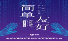 海南区块链行业的企业家与领军人物