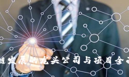 区块链发展的龙头公司与项目全面解析