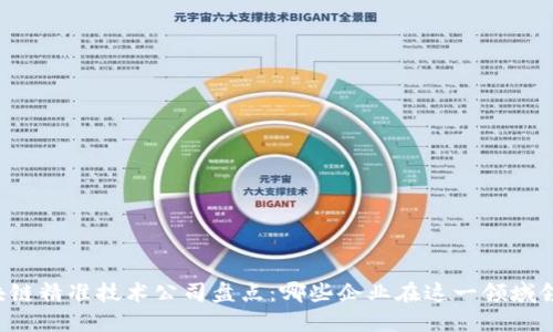 区块链精准技术公司盘点：哪些企业在这一领域领先？