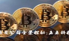 郴州区块链项目公司全景探秘：未来科技的前沿