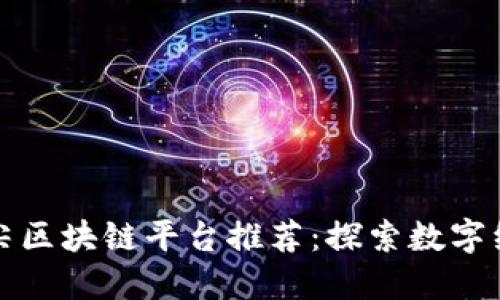 新加坡顶尖区块链平台推荐：探索数字经济新机遇