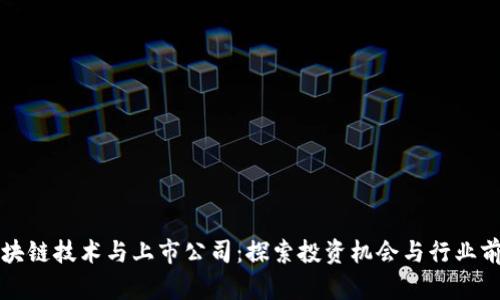 区块链技术与上市公司：探索投资机会与行业前景