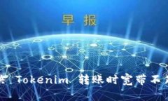 如何解决 Tokenim 转账时宽带不足的问题