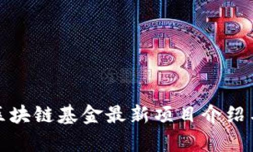 娄底区块链基金最新项目介绍与分析