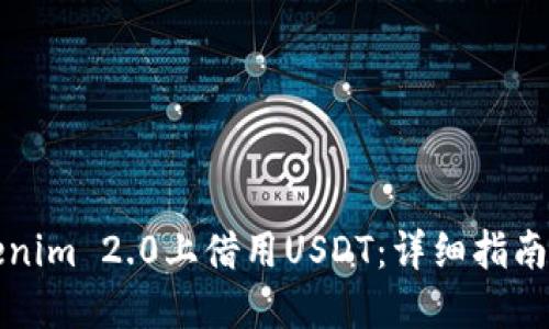 如何在Tokenim 2.0上借用USDT：详细指南与实用技巧