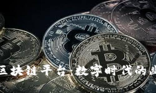 最搞笑的区块链平台：数字时代的幽默与创新