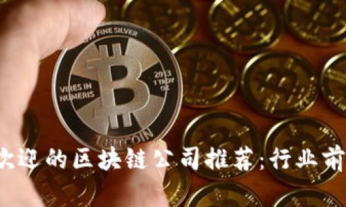 2023年最受欢迎的区块链公司推荐：行业前沿探索与分析