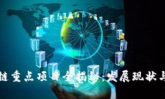 上海区块链重点项目全揭秘：发展现状与未来前