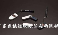 深入探讨：广东区块链视频公司的现状与发展前
