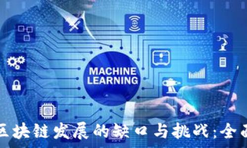   
中国区块链发展的缺口与挑战：全面剖析