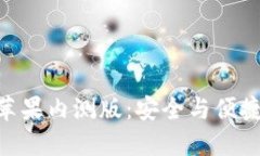 Tokenim 2.0钱包国内苹果内测版：安全与便捷的数字