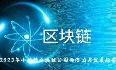 2023年小规模区块链公司的潜力与发展趋势