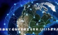   区块链公有链项目推荐与分析：2023年最新趋势