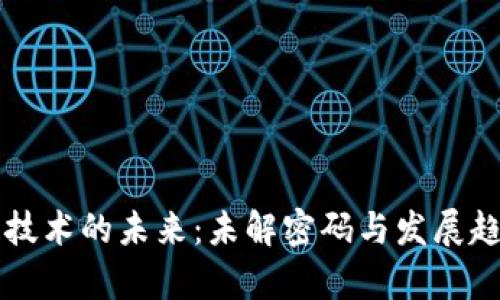 区块链技术的未来：未解密码与发展趋势分析
