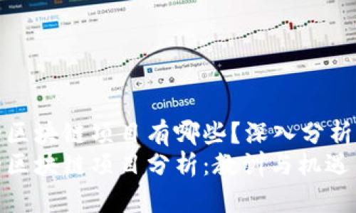 倒闭的区块链项目有哪些？深入分析与反思
倒闭的区块链项目分析：教训与机遇