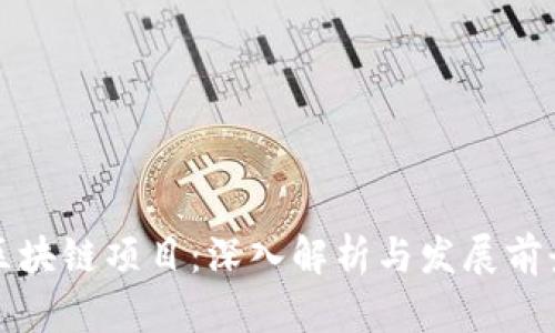 拉新区块链项目：深入解析与发展前景分析