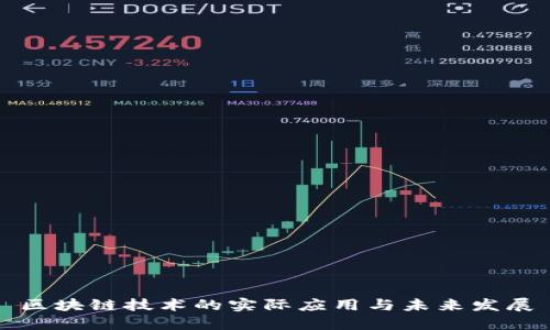 区块链技术的实际应用与未来发展