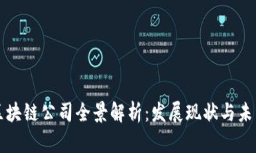 泸州区块链公司全景解析：发展现状与未来趋势
