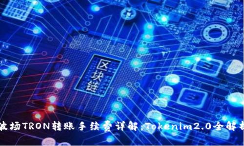 波场TRON转账手续费详解：Tokenim2.0全解析