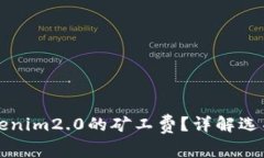 如何设置Tokenim2.0的矿工费？详解选项与最佳实践