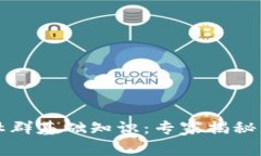 区块链社群基础知识：专家揭秘独家秘诀