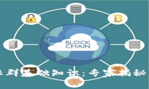 区块链社群基础知识：专家揭秘独家秘诀