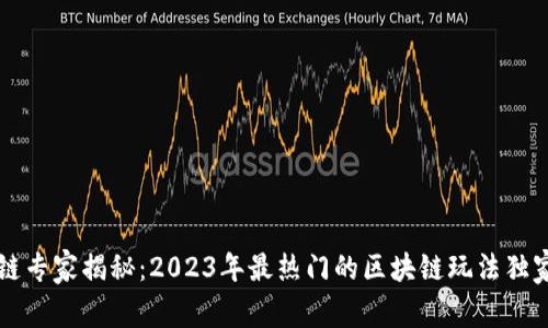 区块链专家揭秘：2023年最热门的区块链玩法独家秘诀