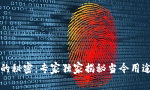 区块链的秘密：专家独家揭秘当今用途与前景