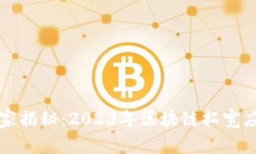区块链专家独家揭秘：2023年区块链拓宽应用领域的秘诀