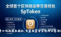 区块链中心化的商机揭秘：专家独家分享绝对不