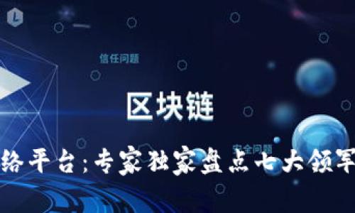 揭秘区块链网络平台：专家独家盘点七大领军企业及其秘诀