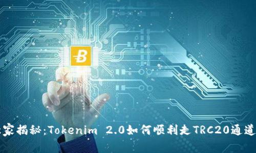 专家独家揭秘：Tokenim 2.0如何顺利走TRC20通道的秘诀