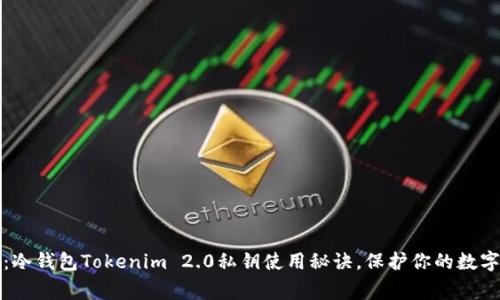 专家揭秘：冷钱包Tokenim 2.0私钥使用秘诀，保护你的数字资产安全
