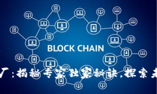 新加坡区块链大厂：揭秘专家独家秘诀，探索未来科技的领航者