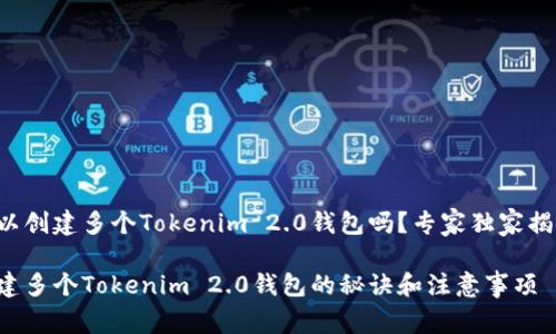 可以创建多个Tokenim 2.0钱包吗？专家独家揭秘！

创建多个Tokenim 2.0钱包的秘诀和注意事项