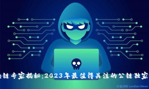 区块链专家揭秘：2023年最值得关注的公链独家秘诀